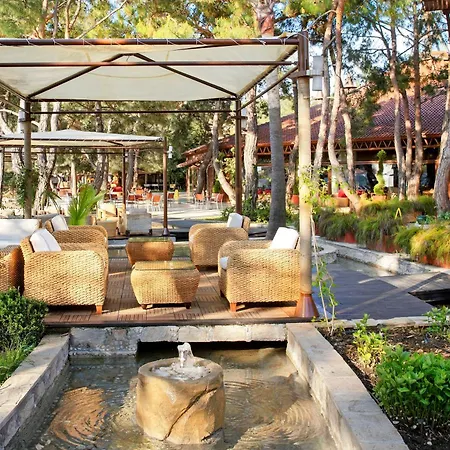 Marti Myra Τεκίροβα