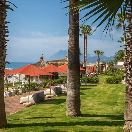 Marti Myra Τεκίροβα